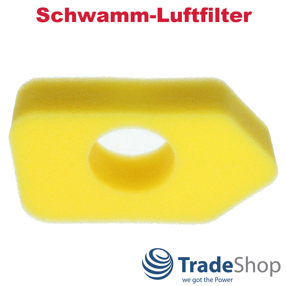 2x Luft-Filter Schwamm für Briggs & Stratton 698369 698472 799579