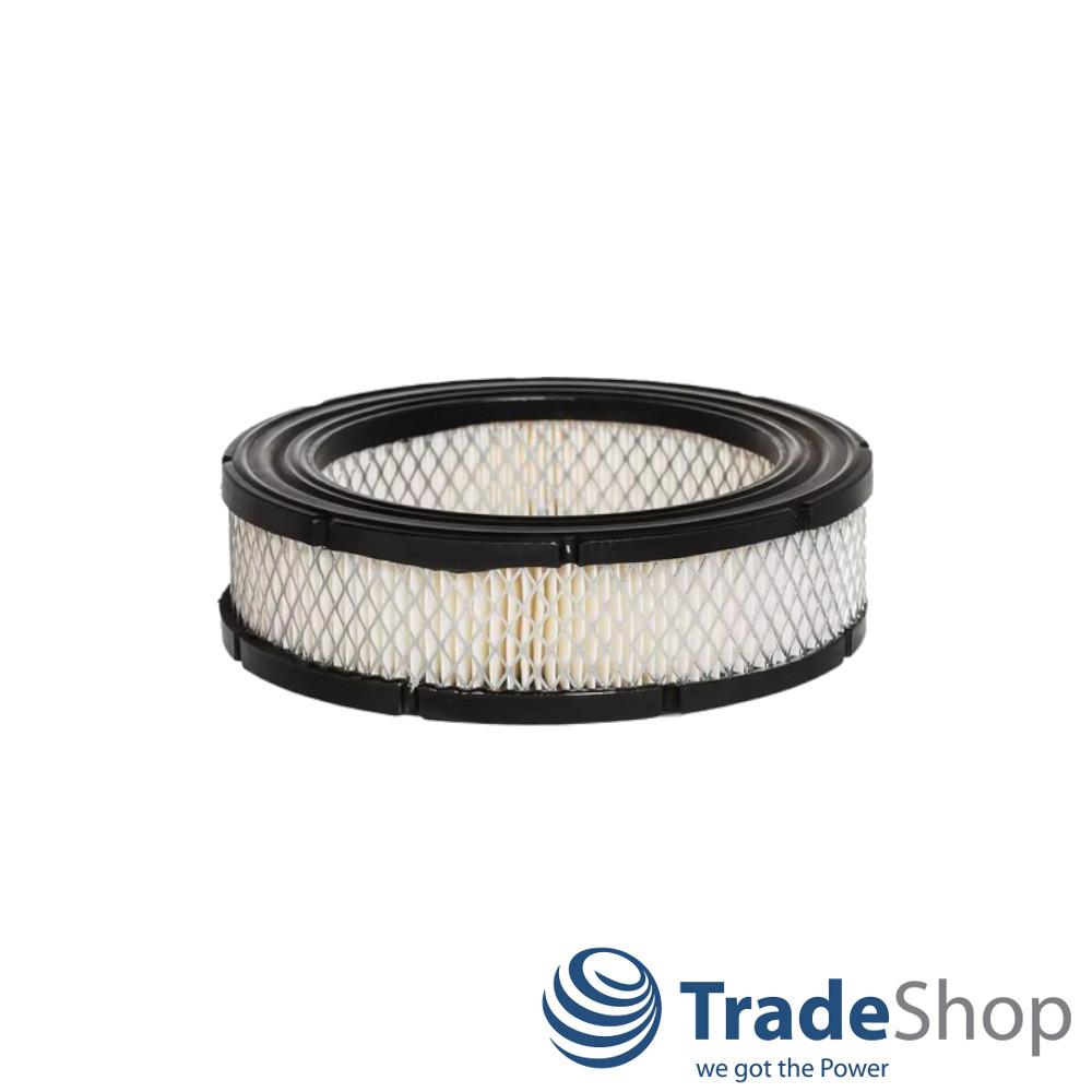 2x Luftfilter für Briggs&Stratton Vanguard V-Twin Motoren ersetzt 692519, 806232