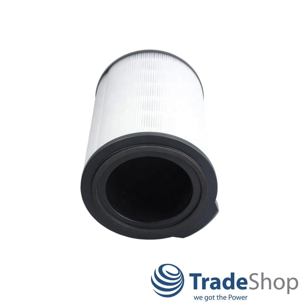 2x Luftreiniger-Filter für Philips AC3033/10, AC3036/10, 3000i ersetzt FY3430/30