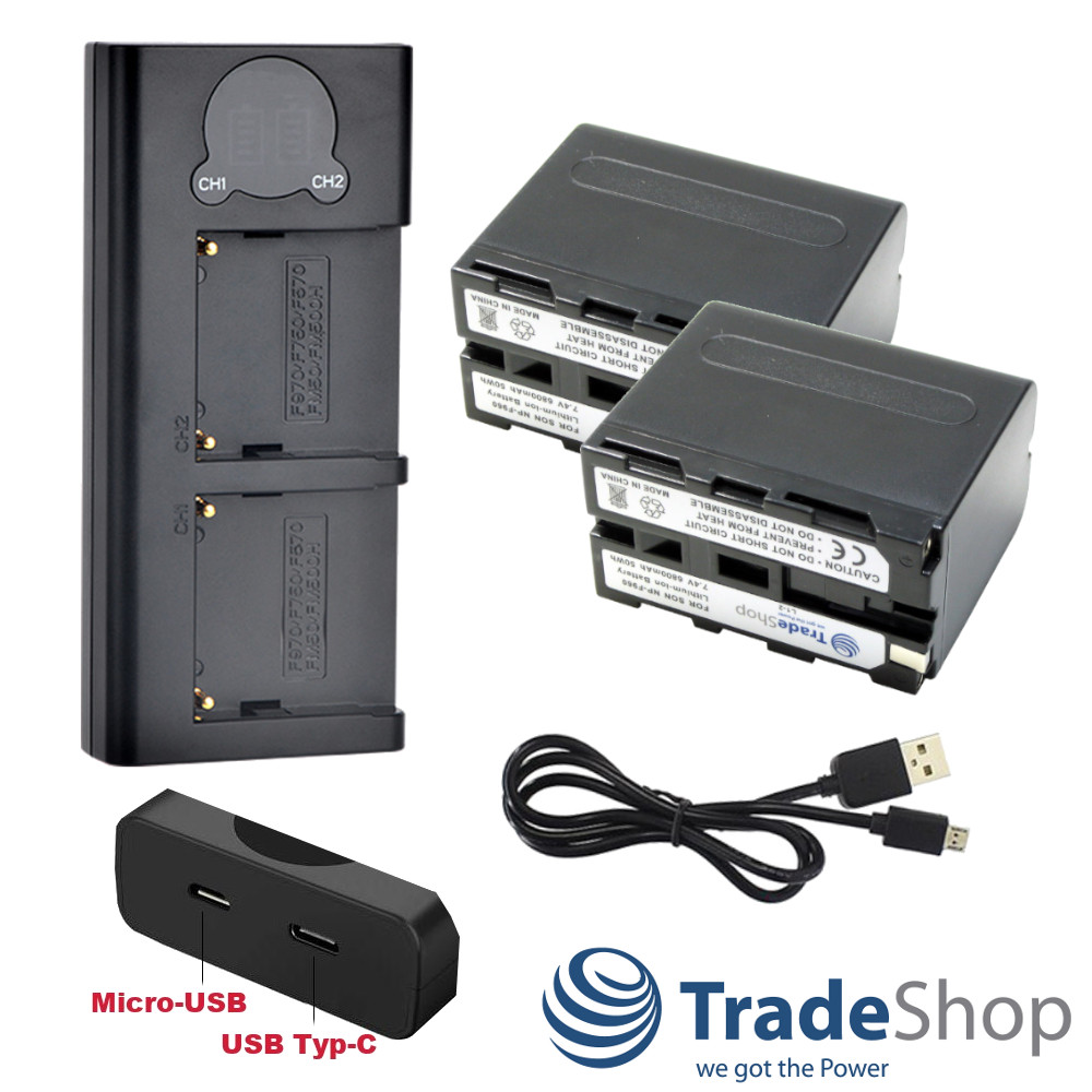 2in1: 2x Akku + Dual Ladegerät LCD Ladestation für Sony NP-F330 F530 F550 F570