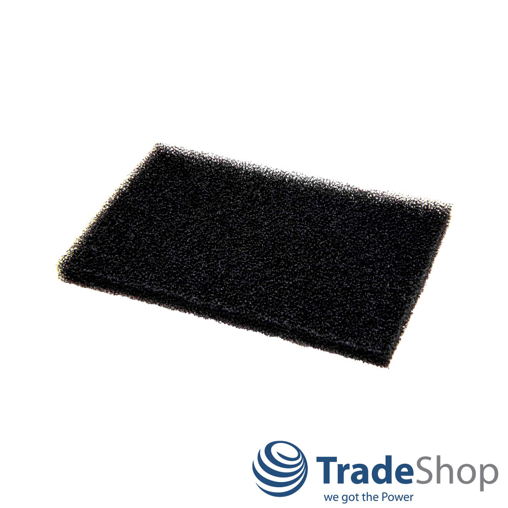 Schaumfilter Filtermatte für AEG Vampyr CE 220, CE 250, CE 270 ersetzt AEF03