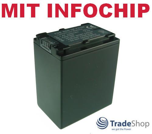 Akku für Sony NP-FV100 passend für NP-FV70 NP-FV50 NP-FV30 HDR-TG1 und weitere
