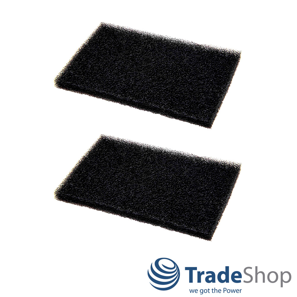 2x Schaumfilter Filtermatte für AEG Vampyr CE 220, CE 250, CE 270 ersetzt AEF03