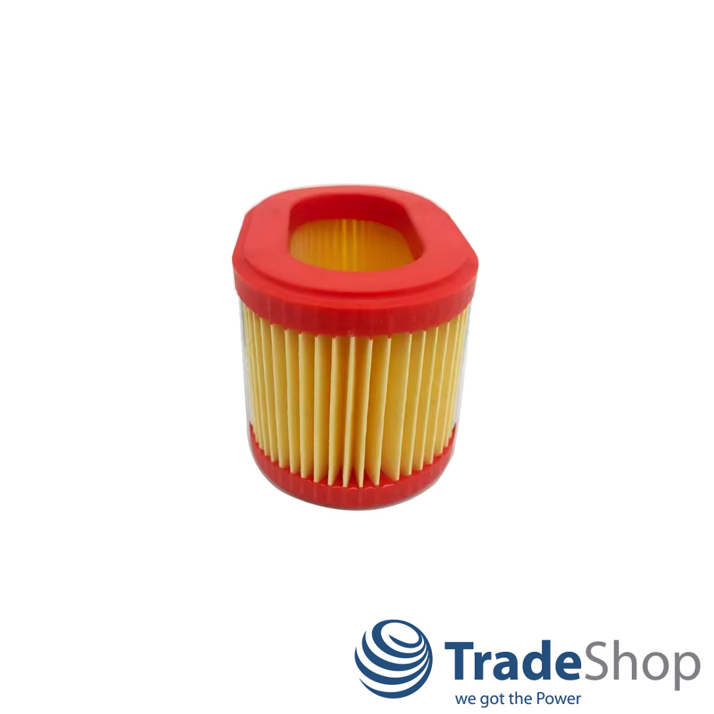 Luftfilter für Briggs & Stratton 90000-Serie Motoren ersetzt 790166, 698867