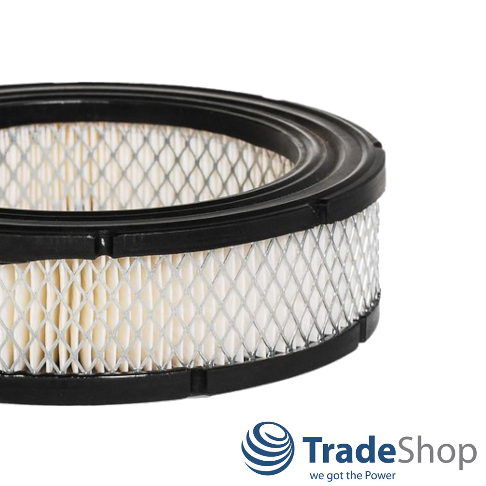 2x Luftfilter für Briggs&Stratton Vanguard V-Twin Motoren ersetzt 692519, 806232