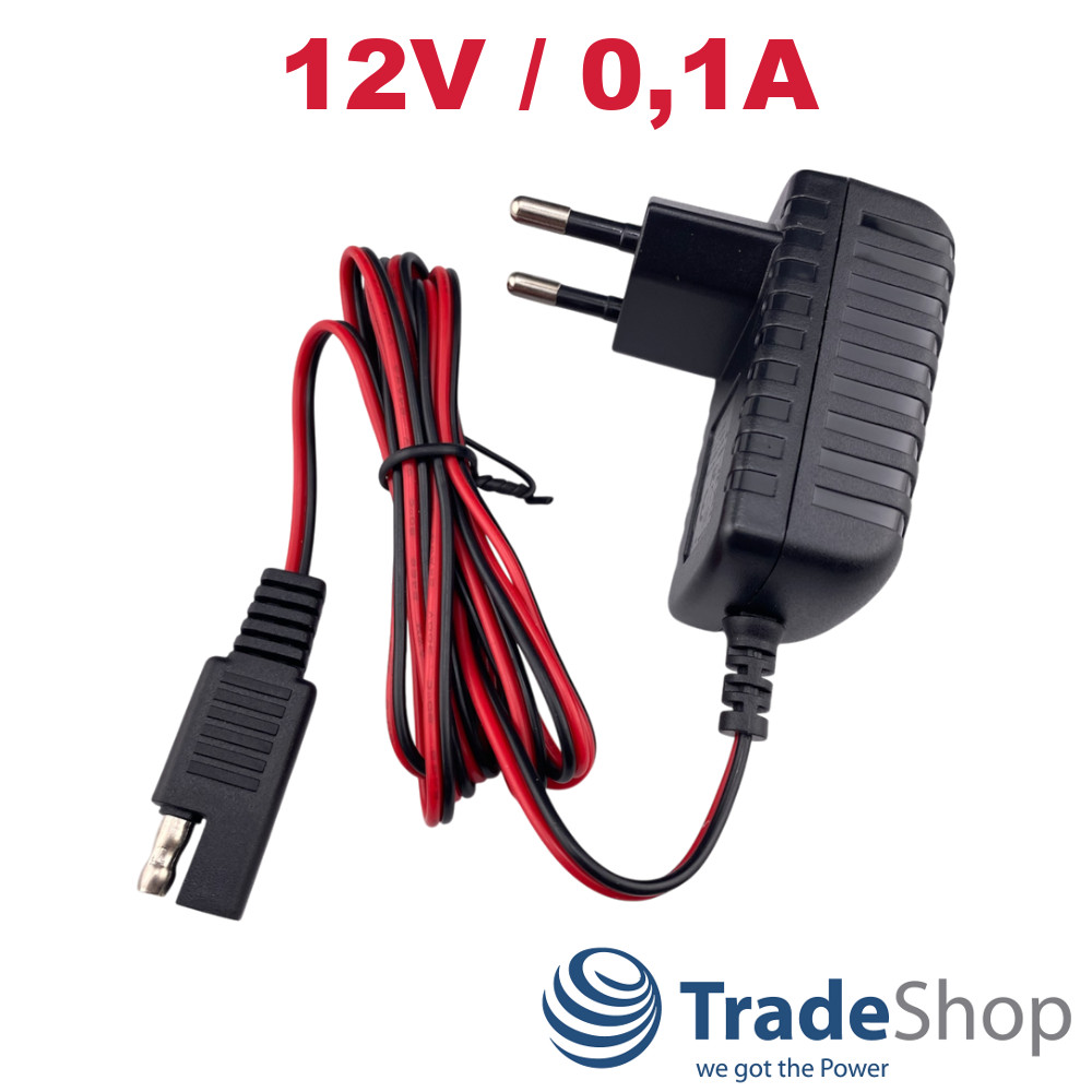 Netzteil Ladegerät 12V/0,1A für für Honda, Scheppach Rasenmäher-Starterbatterien