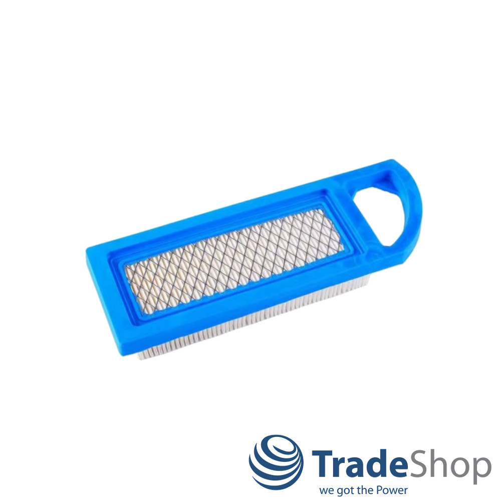 Luftfilter für Briggs & Stratton 284H07 285H07 ersetzt 697634 697153 695547