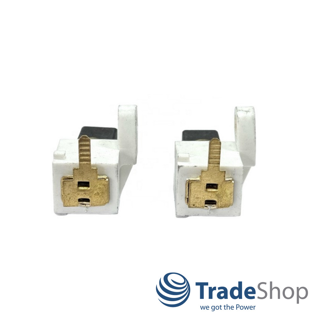 2x Motorkohlen 6x11x19,5mm mit Halter für Stihl E140 E160 ersetzt 12080071001