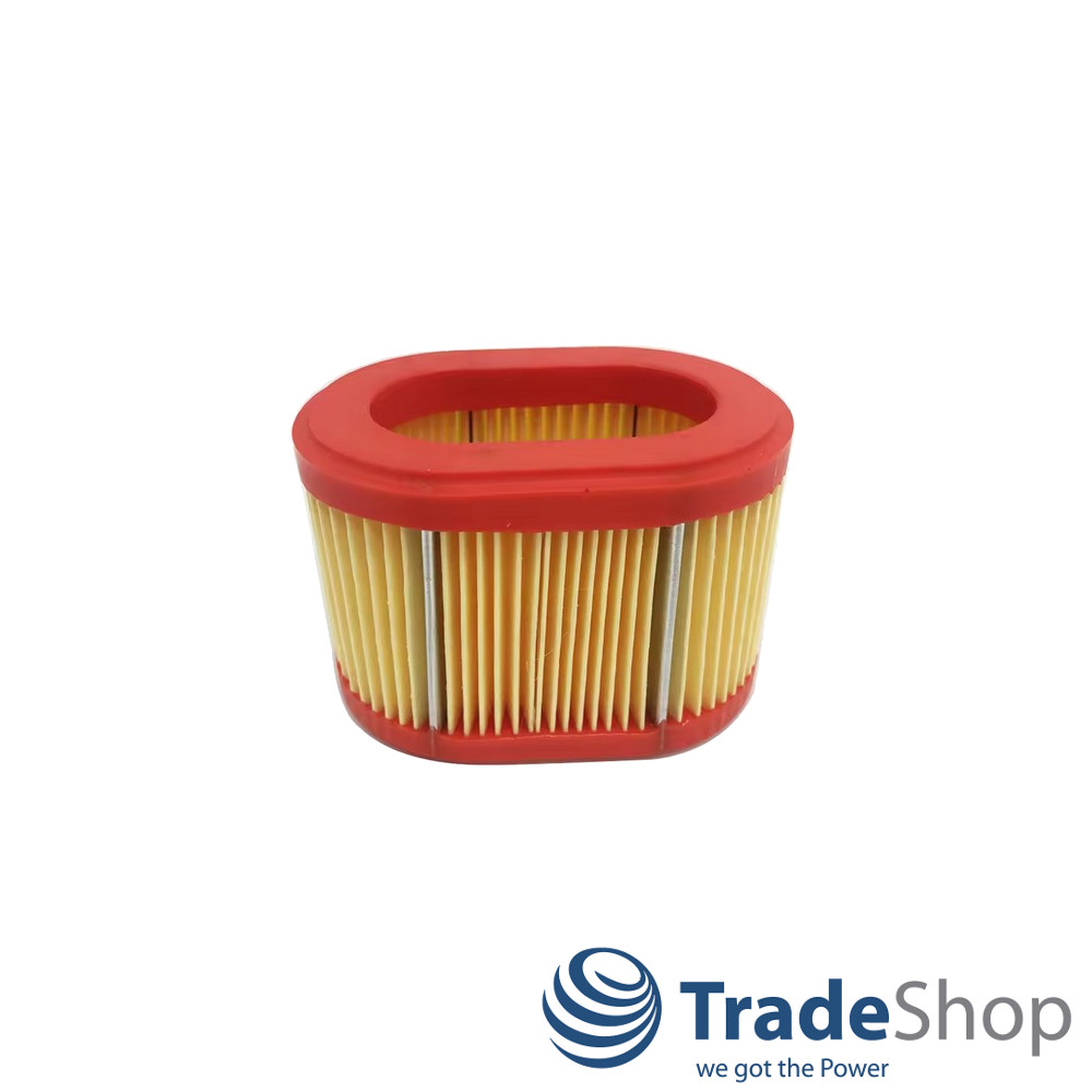 Luftfilter für Briggs & Stratton 90000-Serie Motoren ersetzt 790166, 698867
