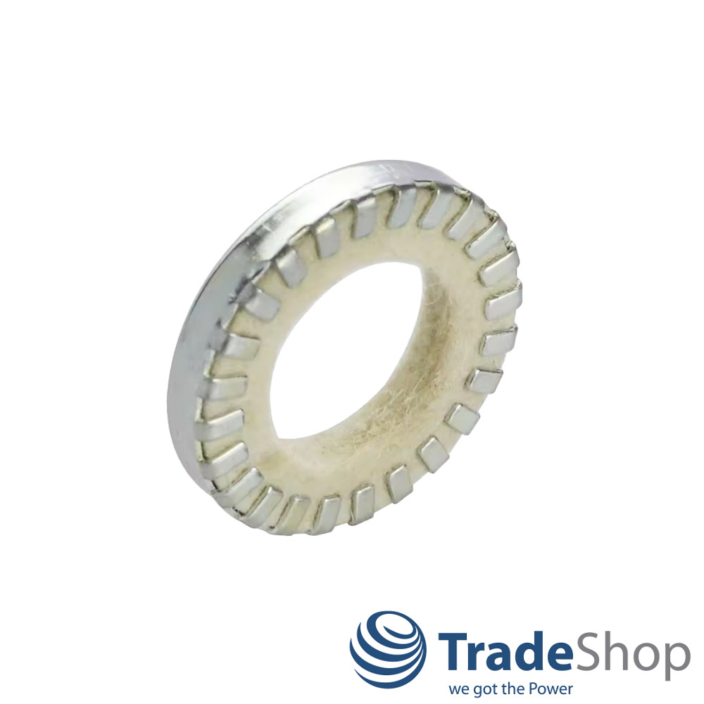 Radialwellendichtring für Bosch GSH 10 C, GSH 11 E, GBH 7 DE ersetzt 1610290028