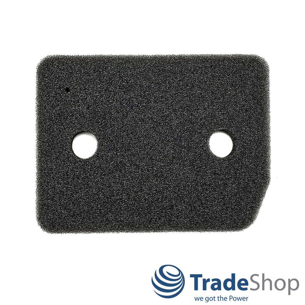 Ersatz Schwammfilter Sockelfilter für Miele TCE530WP TCF620WP ersetzt 9164761