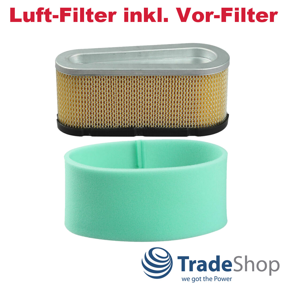 Luft-Filter inkl. Vorfilter für Briggs & Stratton 493909 496894