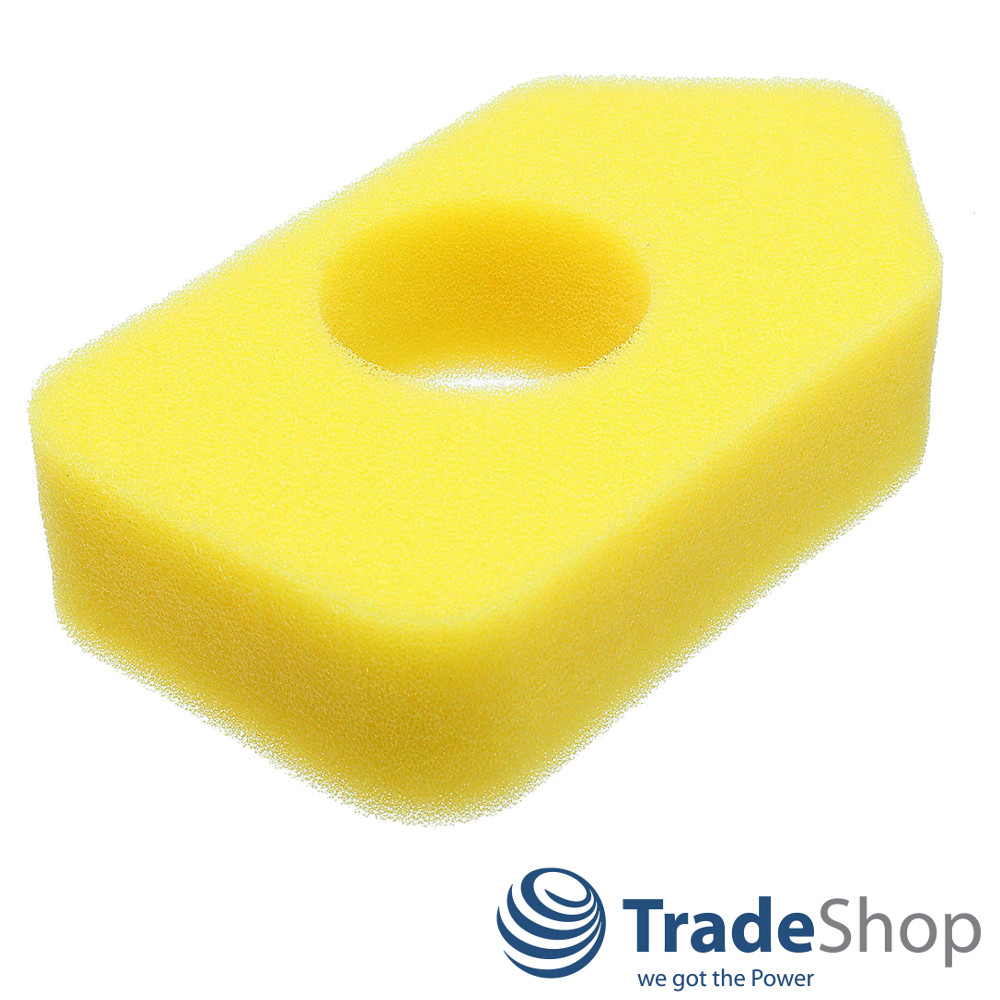 Luft-Filter Schwamm für Briggs & Stratton 698369 698472 799579