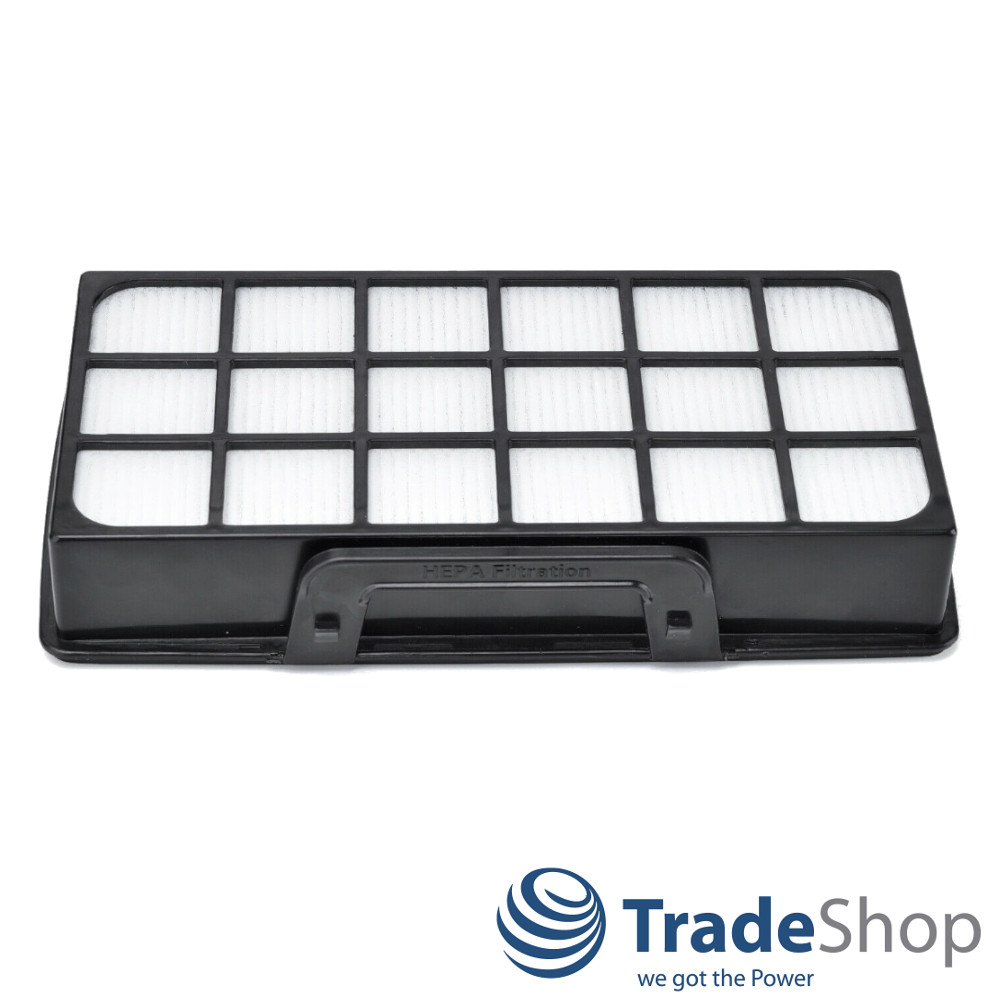 2x Filter-Set (Vormotor + HEPA) für Rowenta RO6921EA RO6931EA ersetzt ZR006001