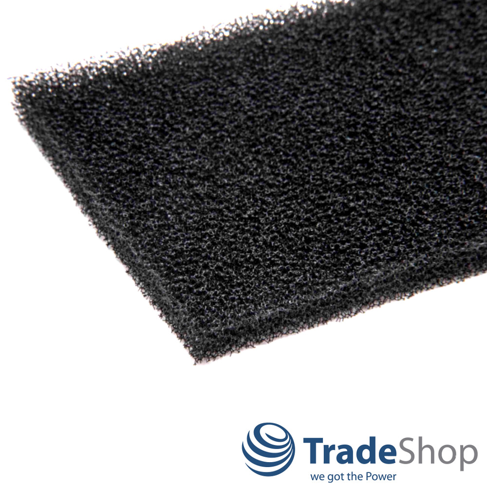 Schaumfilter Filtermatte für AEG Vampyr CE 220, CE 250, CE 270 ersetzt AEF03