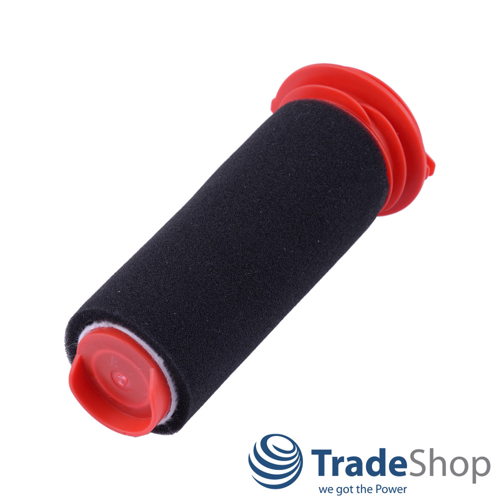2x Filter Set Schaumstoff- und Microfilter für Bosch 754175 754176