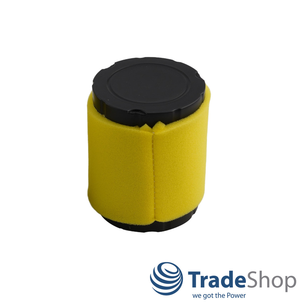 Luftfilter inkl. Vorfilter für Briggs & Stratton 215802 ersetzt 796032 591583