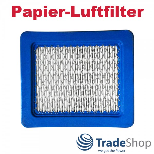 2x Papier-Luft-Filter für Briggs & Stratton 399959 491588S 494245