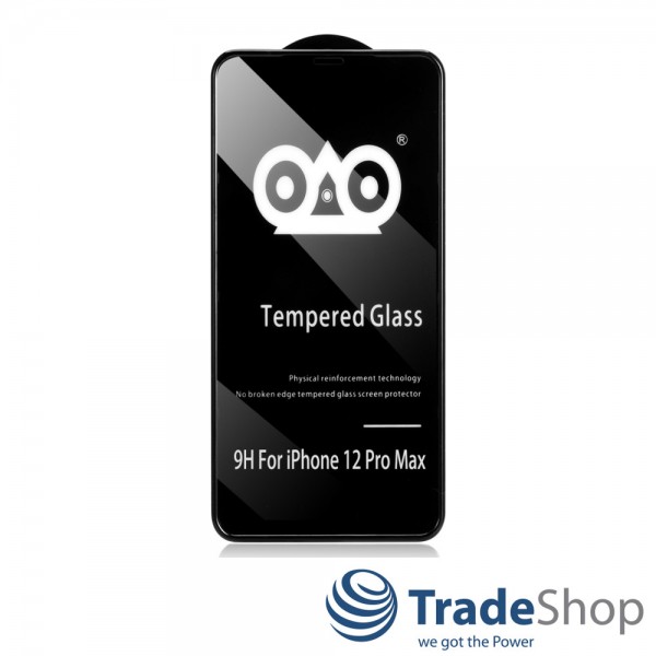 Schutzglas 9H Echtglas Schutzglas Displayschutz für Apple iPhone 12 Pro Max