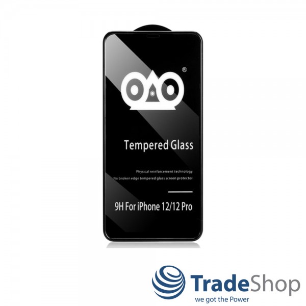 Schutzglas 9H Echtglas Schutzglas Displayschutz für Apple iPhone 12 / 12 Pro