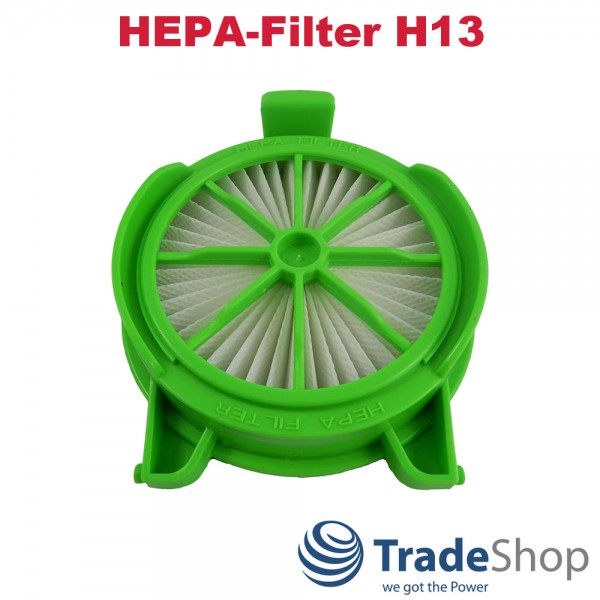 HEPA-Filter H13 für Rowenta Powerline D230466 RS-RH5024